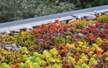 the cost of West Lavington green roof installation
