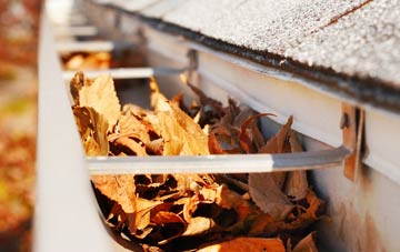 West Lavington gutter cleaning companies
