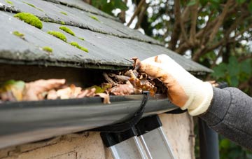 gutter cleaning West Lavington